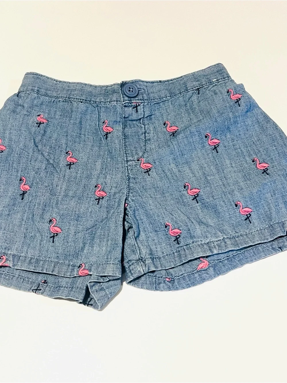 Gymboree light blue